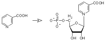 from nicotinate + 5-phosphoribosyl-1-pyrophosphate to nicotinate D-ribonucleotide + diphosphate