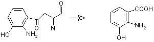 from 3-Hydroxykynurenine to 3-Hydroxyanthranilic acid by Kynureninase, EC 3.7.1.3
