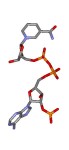 Nicotinamide adenine dinucleotide phosphate stick model