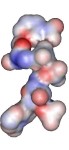 Nicotinamide adenine dinucleotide phosphate VDW model